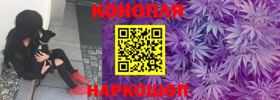 дмт Славгород