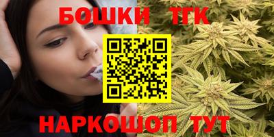 гашик Сланцы