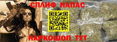 гашик Сланцы