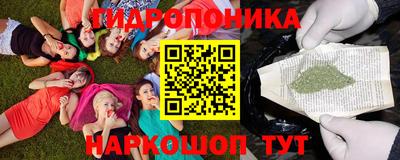 дмт Славгород
