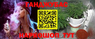 гашик Сланцы
