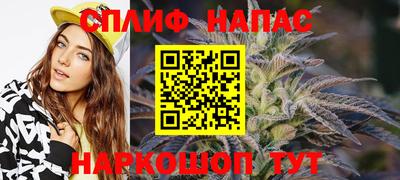 дмт Славгород