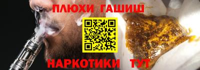 дмт Славгород