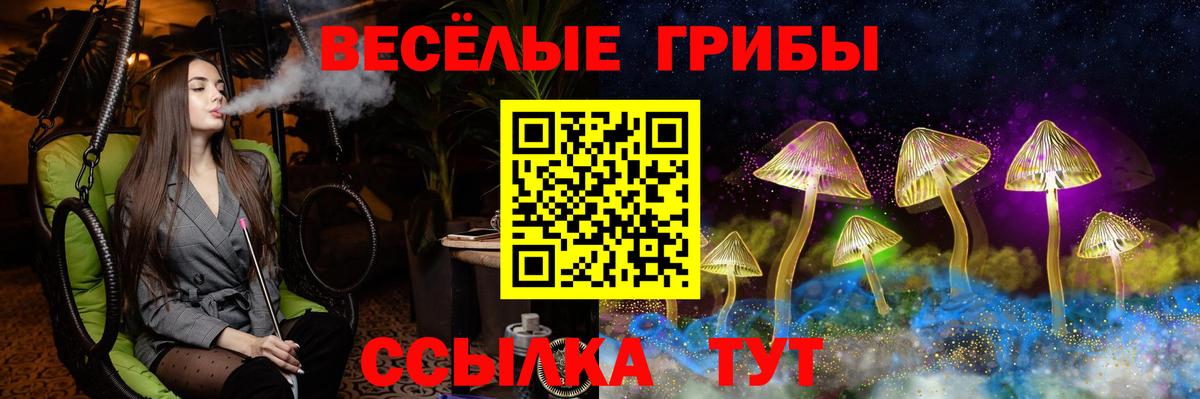 Псилоцибиновые грибы Cubensis Ревда